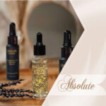 کاتالوگ لوازم آرایشی ابسولوت Absolute Cosmetics catalogue